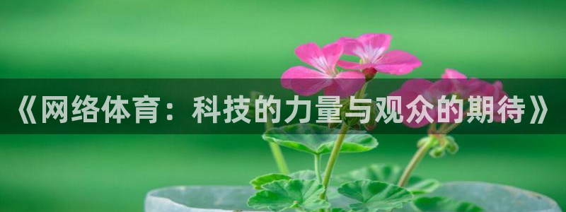 《网络体育：科技的力量与观众的期待》