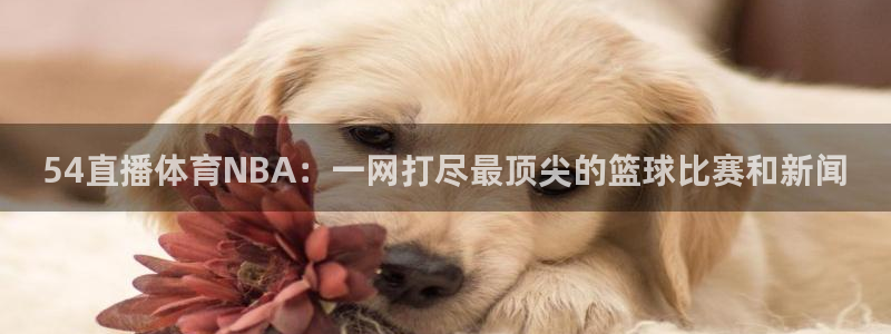 54直播体育NBA：一网打尽最顶尖的篮球比赛和新闻