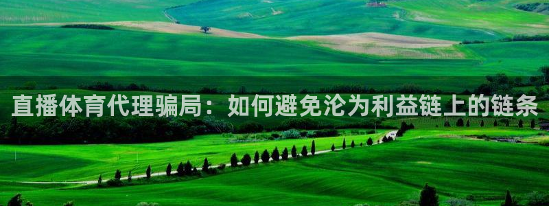 直播体育代理骗局：如何避免沦为利益链上的链条