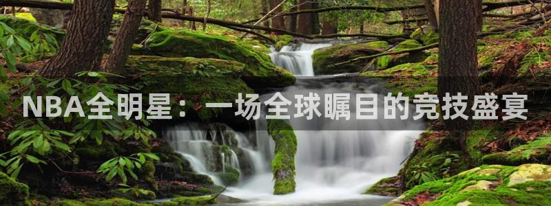 NBA全明星：一场全球瞩目的竞技盛宴