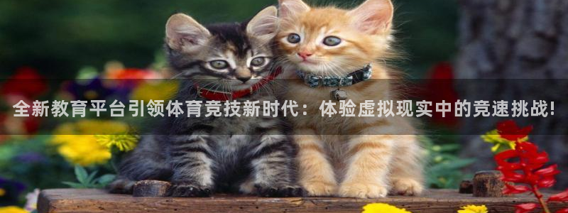 全新教育平台引领体育竞技新时代：体验虚拟现实中的竞速挑战!