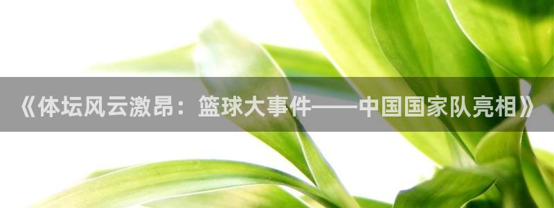 《体坛风云激昂：篮球大事件——中国国家队亮相》