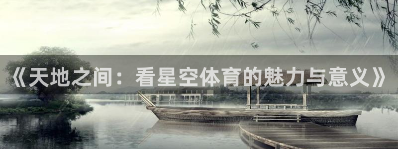 《天地之间：看星空体育的魅力与意义》