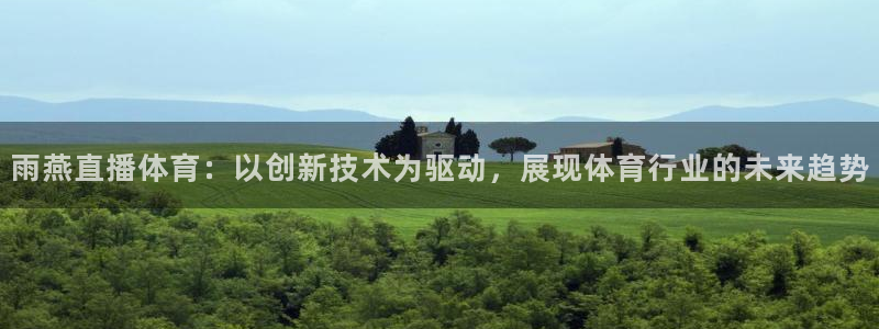 雨燕直播体育：以创新技术为驱动，展现体育行业的未来趋势