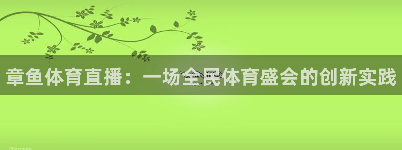章鱼体育直播：一场全民体育盛会的创新实践