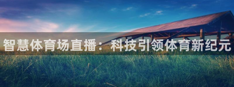 智慧体育场直播：科技引领体育新纪元