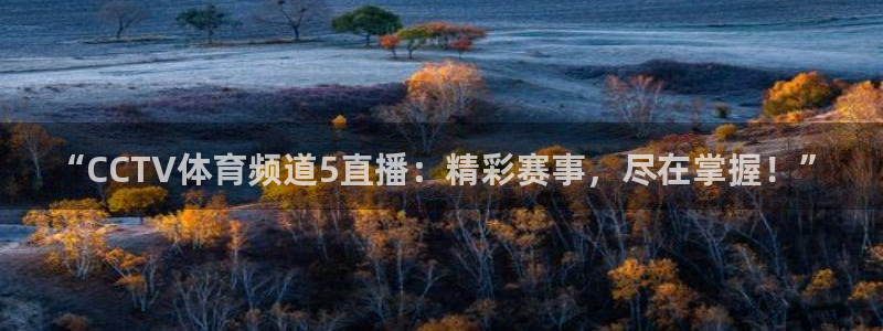 “CCTV体育频道5直播：精彩赛事，尽在掌握！”