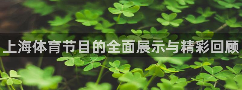 上海体育节目的全面展示与精彩回顾