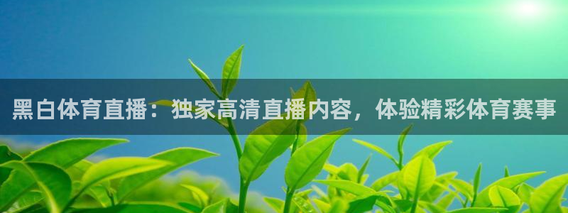 黑白体育直播：独家高清直播内容，体验精彩体育赛事