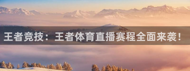 王者竞技：王者体育直播赛程全面来袭！