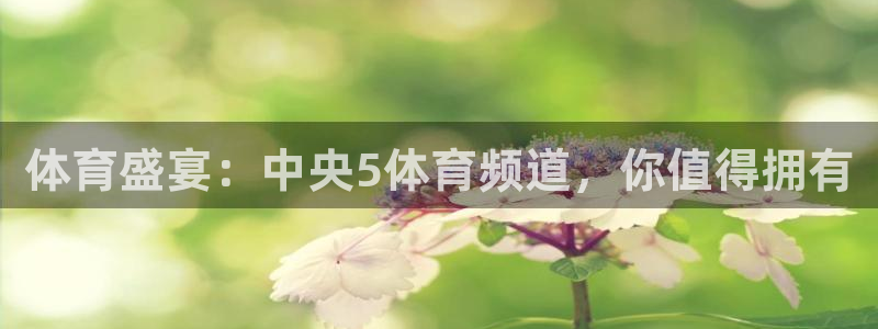 体育盛宴：中央5体育频道，你值得拥有