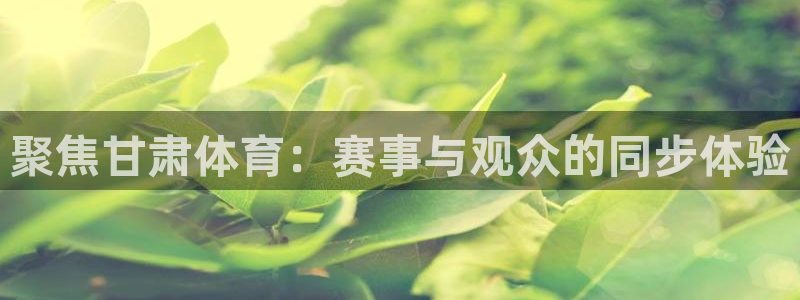聚焦甘肃体育：赛事与观众的同步体验