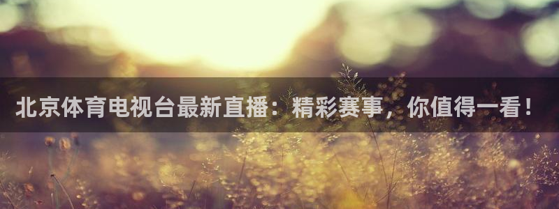 北京体育电视台最新直播：精彩赛事，你值得一看！