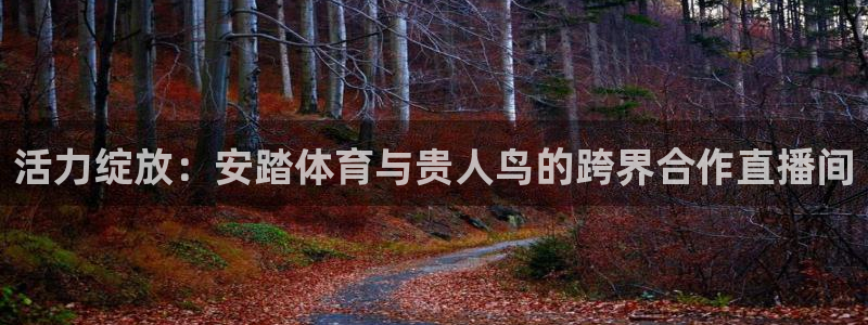 活力绽放：安踏体育与贵人鸟的跨界合作直播间