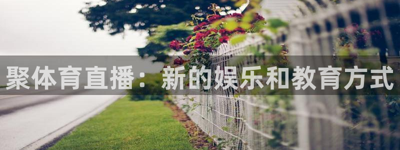 聚体育直播：新的娱乐和教育方式
