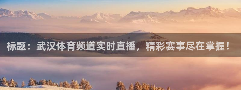 标题：武汉体育频道实时直播，精彩赛事尽在掌握！