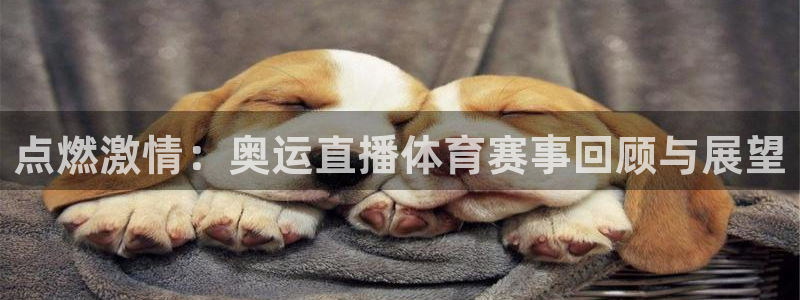 点燃激情：奥运直播体育赛事回顾与展望