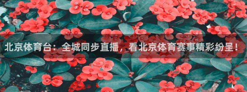 北京体育台：全城同步直播，看北京体育赛事精彩纷呈！